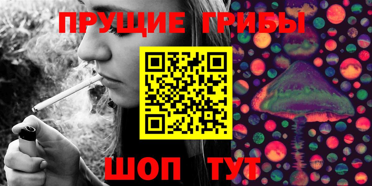 Псилоцибиновые грибы GOLDEN TEACHER Миллерово