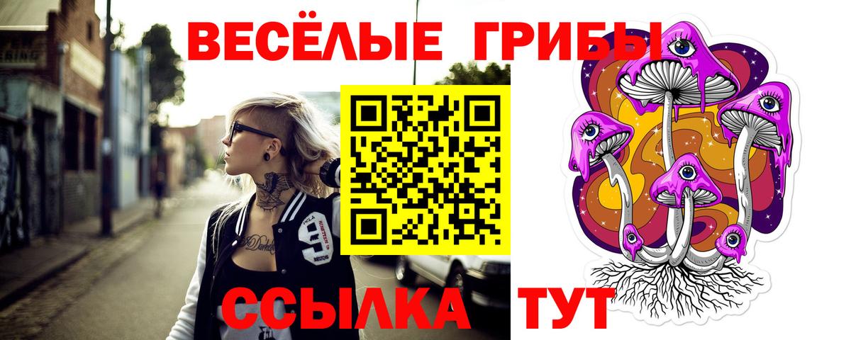 Миллерово  Псилоцибиновые грибы мицелий  Вход с VPN 